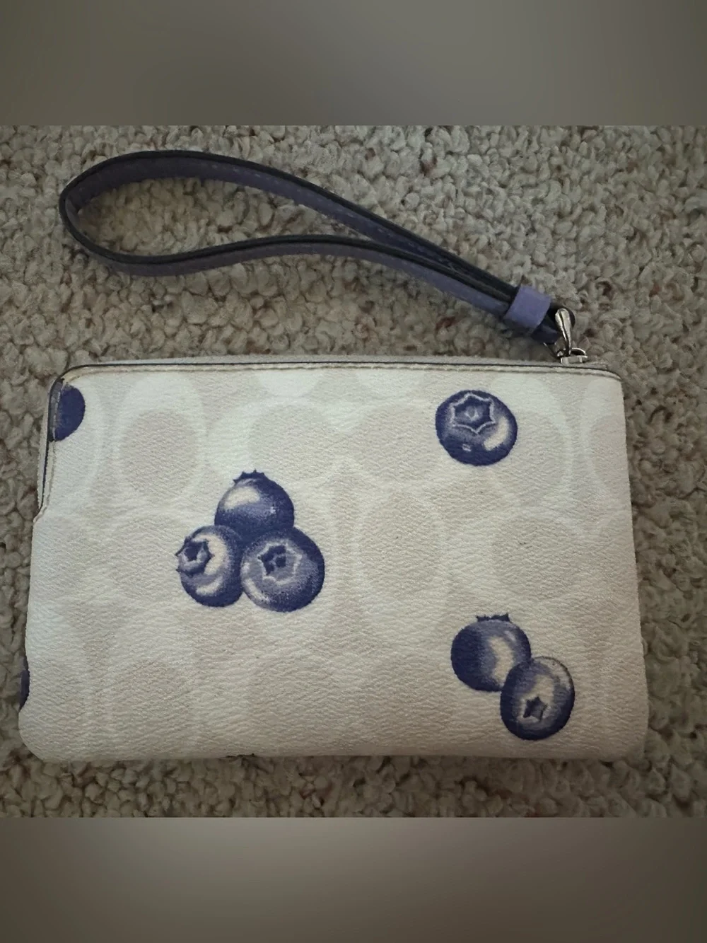 Coach Blue Fruit-Print Wristlet Clutch